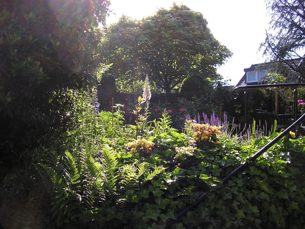 Walnut Lodge Bed & Breakfast Noorbeek Exteriör bild